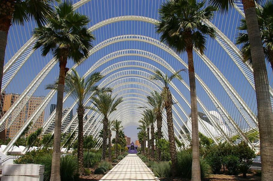 Apartamento Turistico Lux Center Βαλένθια Εξωτερικό φωτογραφία